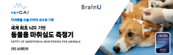 브레인유